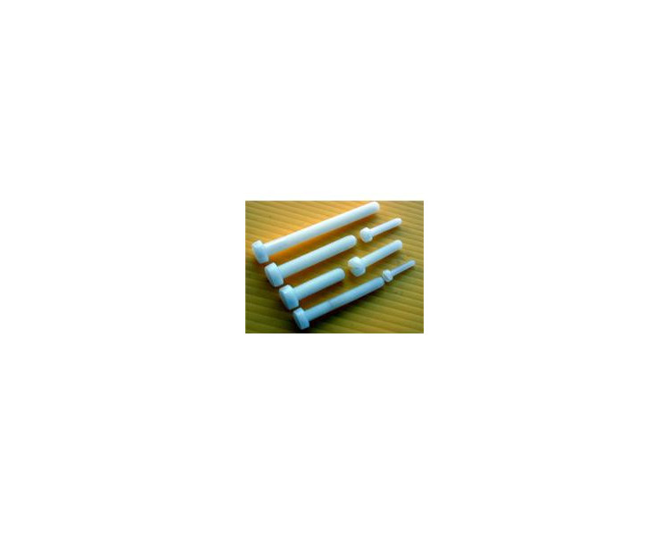 VITI NYLON 4X40MM TESTA CILINDRICA (5) VITI NYLON 4X40MM TESTA CILINDRICA (5)