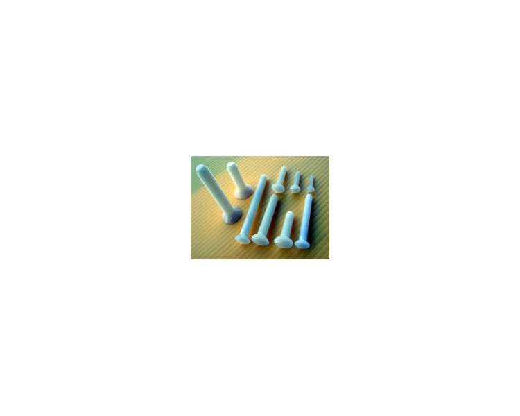 VITI NYLON 4X30MM TESTA SVASATA (10) VITI NYLON 4X30MM TESTA SVASATA (10)