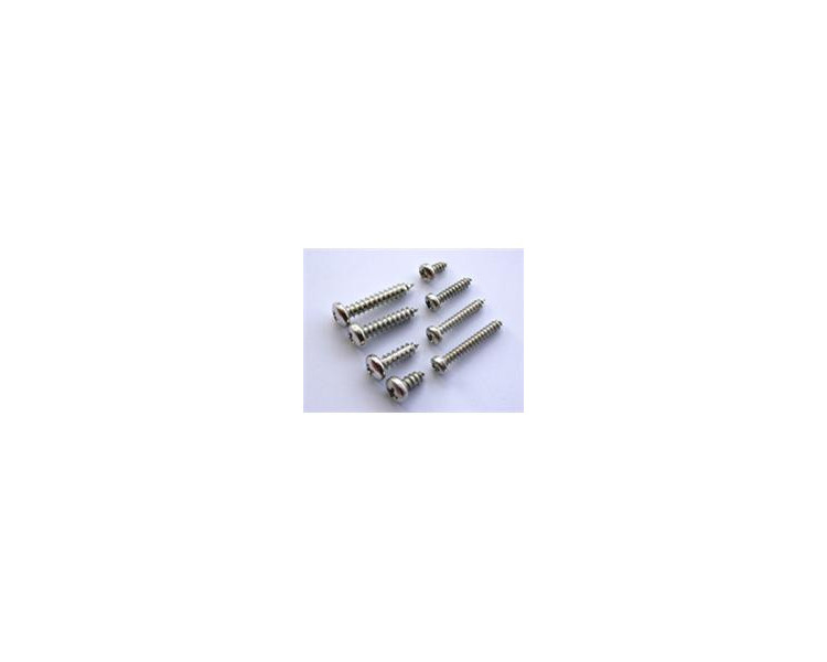 VITE AUTOFILETTANTE TC 2X10MM (10)