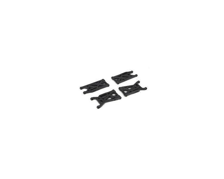 SEMIASSI  MICRO SCT - RALLY