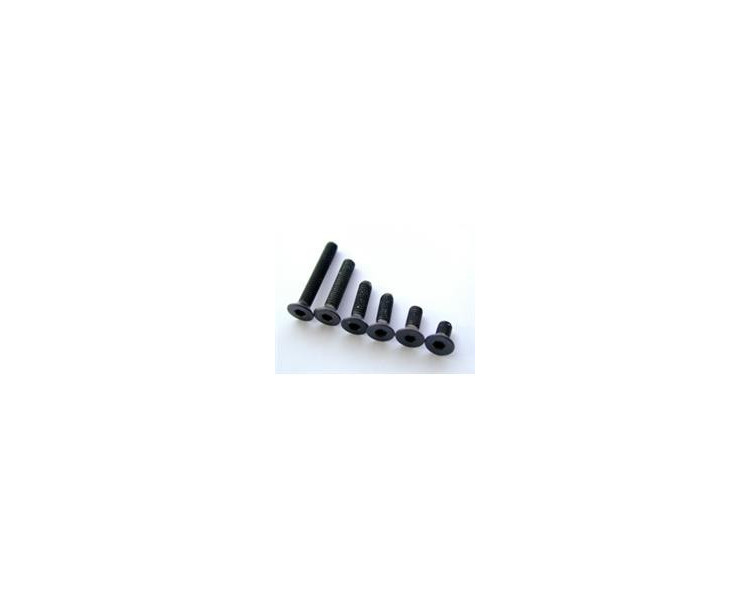 VITE A BRUGOLA TESTA SVASATA 4X8MM (10) VITE A BRUGOLA TESTA SVASATA 4X8MM (10)