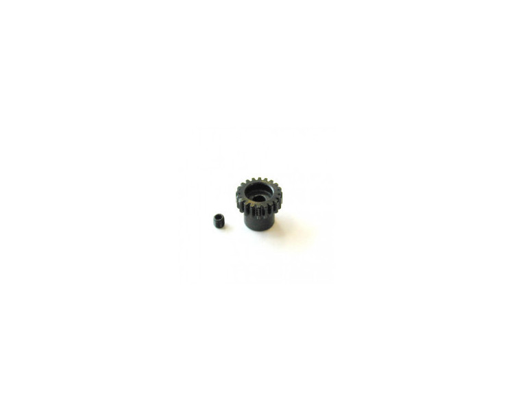 PIGNONE MODULO 48 36D PIGNONE MODULO 48 36D