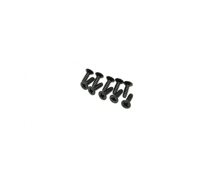 VITE AUTOFILETTANTE TF 3X10MM (10)