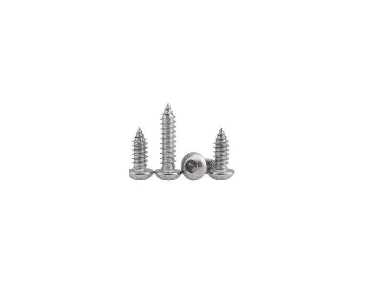 VITE AUTOFILETTANTE BOMBATA A BRUGOLA 3X10MM (10)