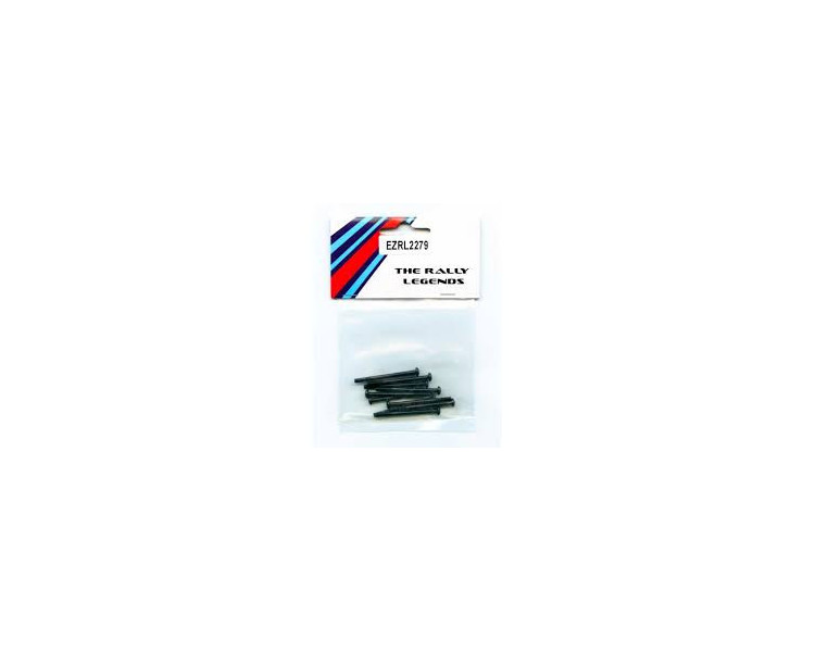 VITE A BRUGOLA TESTA CILINDRICA 3X28MM