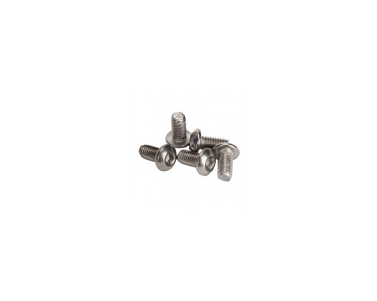 VITE A BRUGOLA TESTA BOMBATA 4X16MM (10) VITE A BRUGOLA TESTA BOMBATA 4X16MM (10)