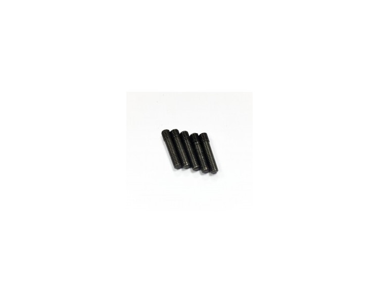 PERNI A VITE M3X13MM (5)