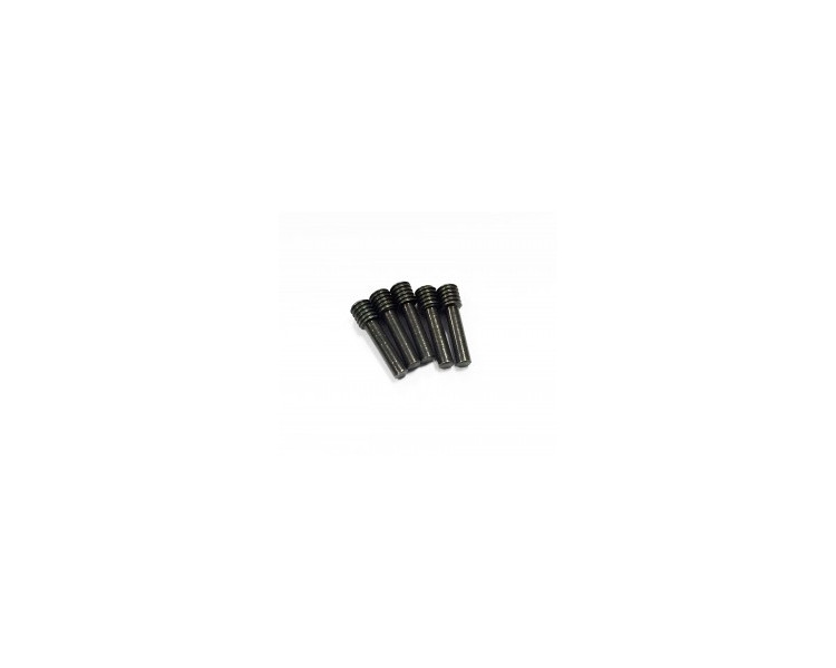 PERNI A VITE M4X14MM (5)