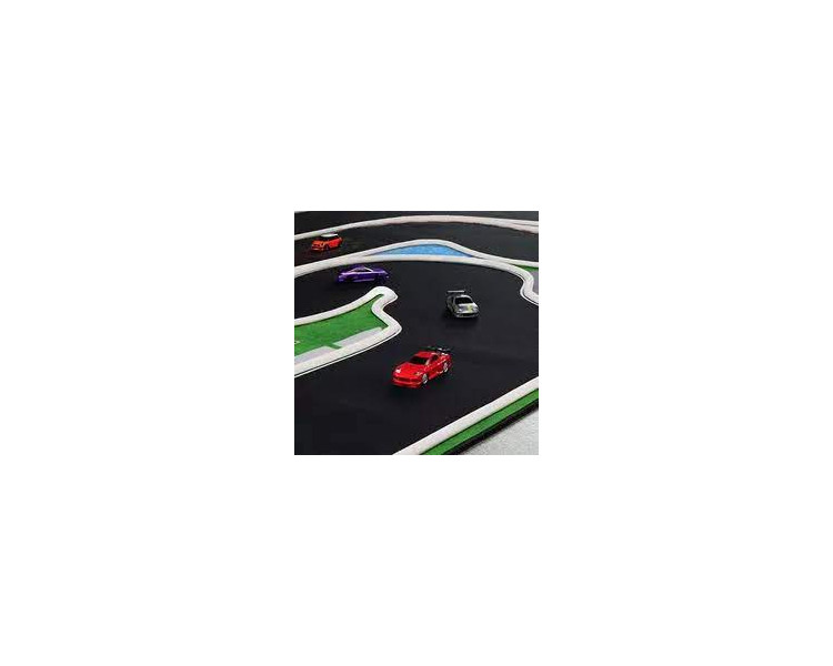 BARRIERE BIANCHE PER CIRCUITO MICRO AUTO 1/76 (50) BARRIERE BIANCHE PER CIRCUITO MICRO AUTO 1/76 (50)
